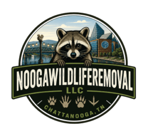 Nooga Wildlife Removal Logo