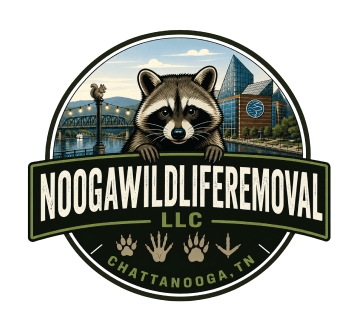 Nooga Wildlife